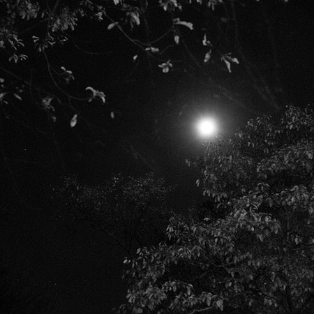 20241018-IMG_2190